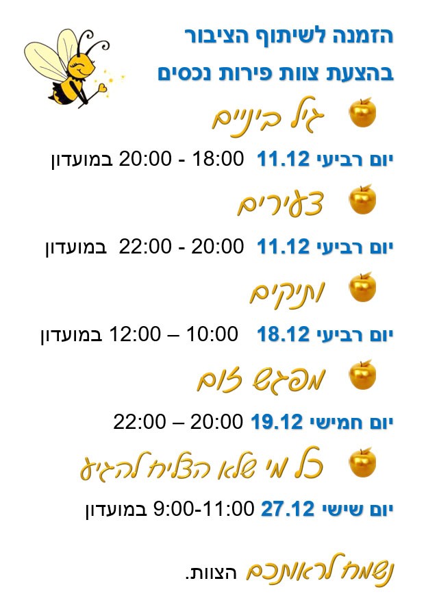  נכסים